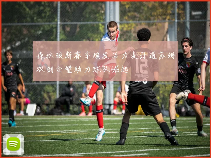 森林狼新赛季焕发活力麦丹道苏姆双剑合璧助力球队崛起