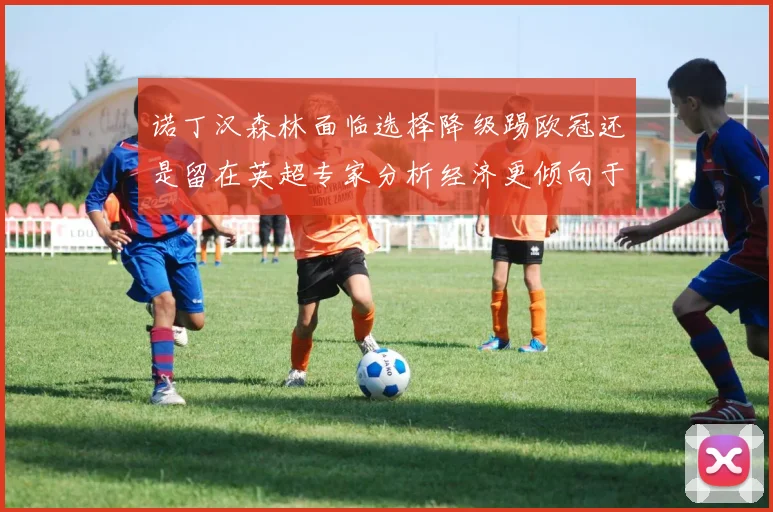诺丁汉森林面临选择降级踢欧冠还是留在英超专家分析经济更倾向于英超